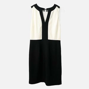 Banana Republic Form Fitted Sheath Dress Size 6 Navy and White Color Block